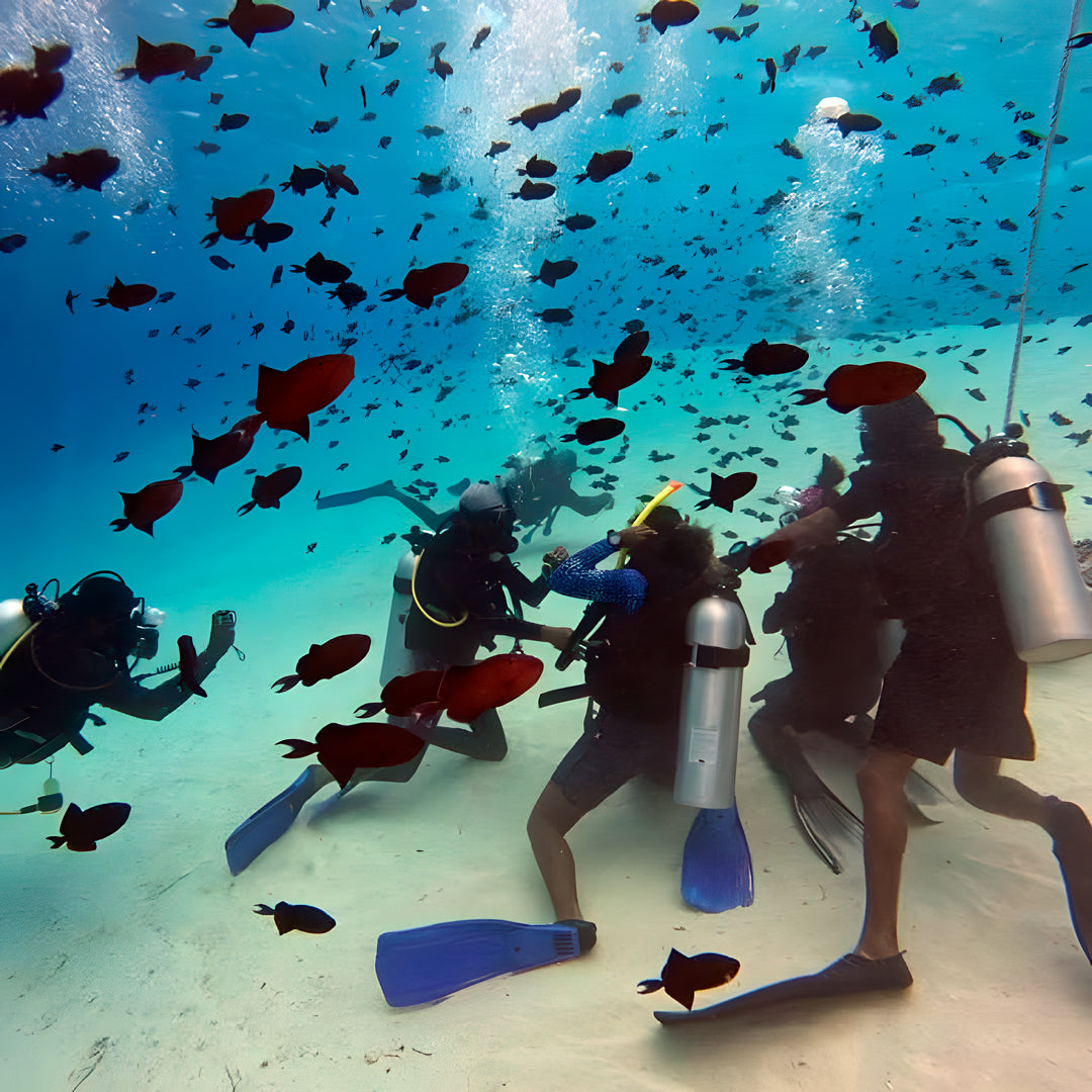 Kaafu Atoll Scuba Diving and Stay Getaway