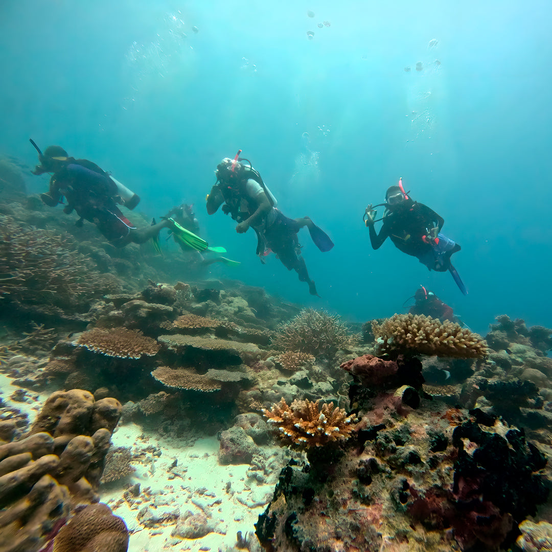 Kaafu Atoll Scuba Diving and Stay Getaway