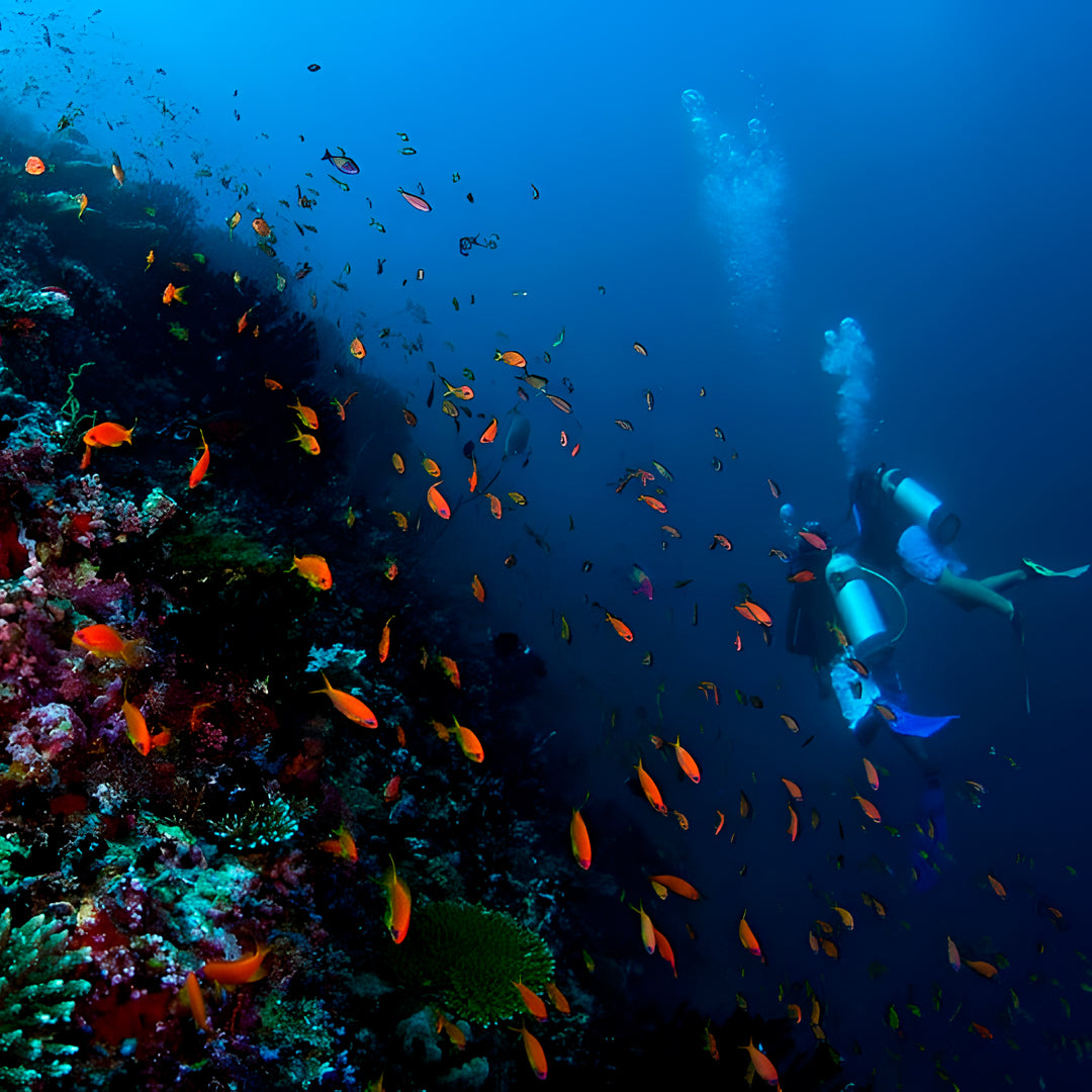 Open Water Diver Course Maldives Trip