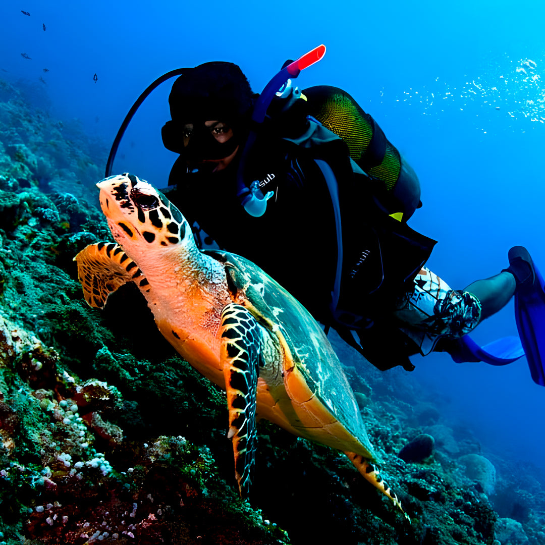 Maldives Scuba Diving Vacation Getaway