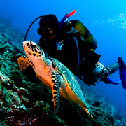 Open Water Diver Course Maldives Trip
