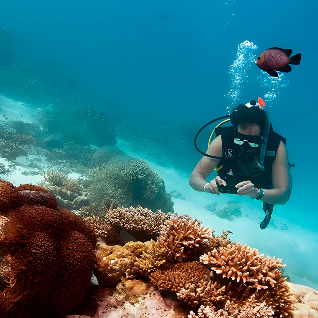 Maldives Scuba Diving Vacation Getaway