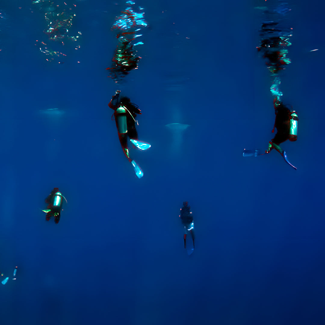 Open Water Diver Course Maldives Trip