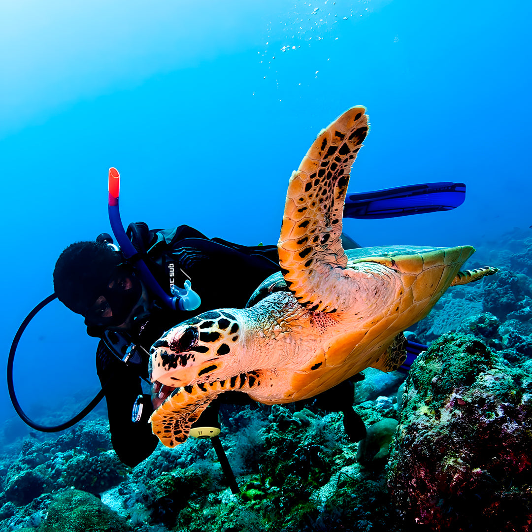 Open Water Diver Course Maldives Trip