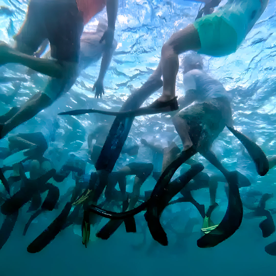 Open Water Diver Course Maldives Trip