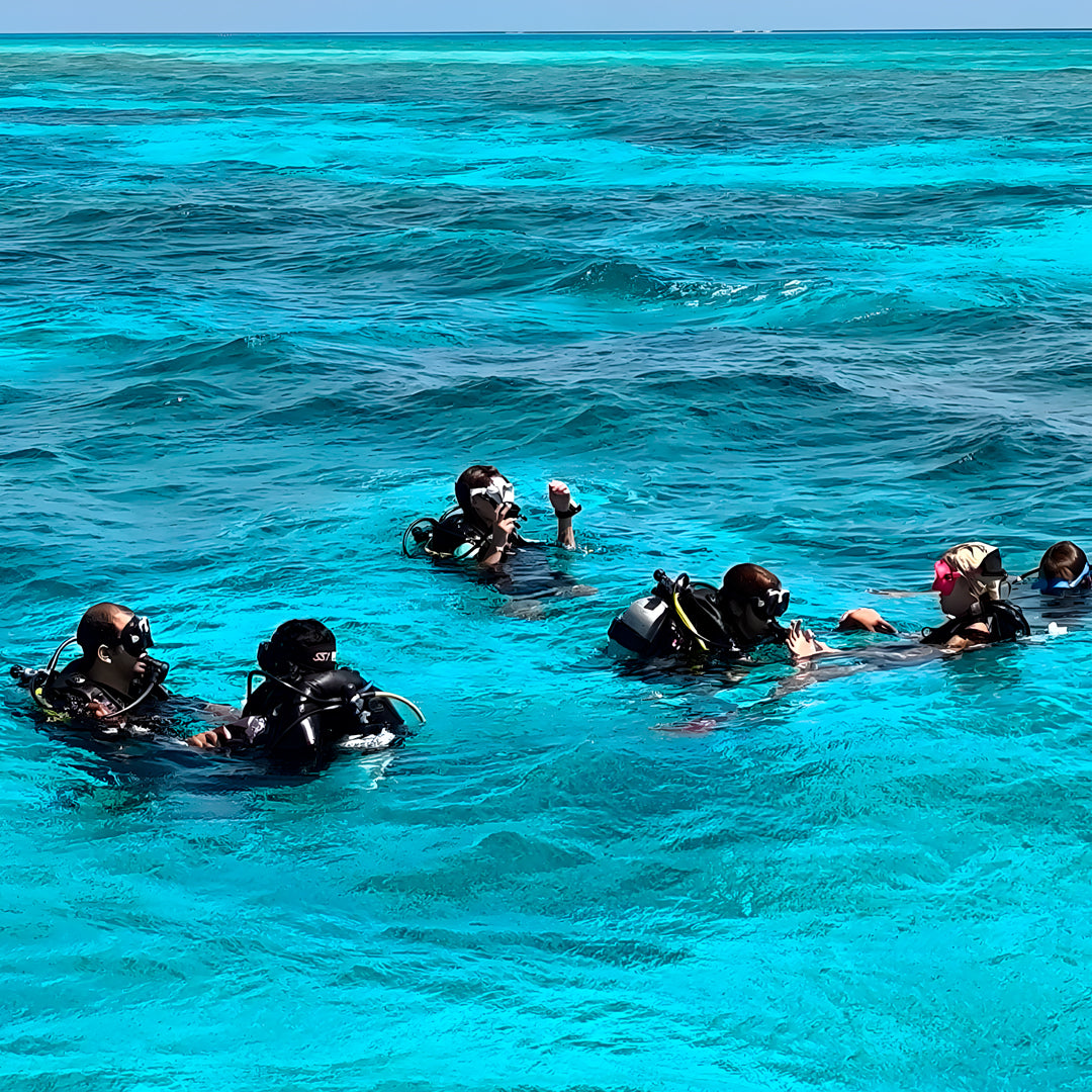 Kaafu Atoll Scuba Diving and Stay Getaway