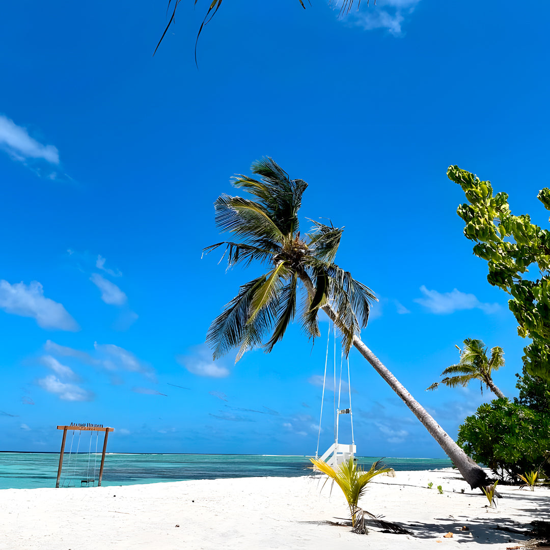 Open Water Diver Course Maldives Trip
