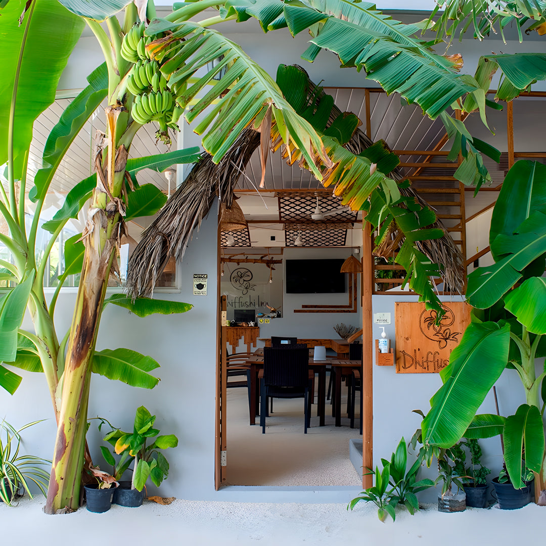 Maldives Scuba Diving Vacation Getaway