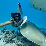 Maldives Apex Encounters Scuba Diving Trip