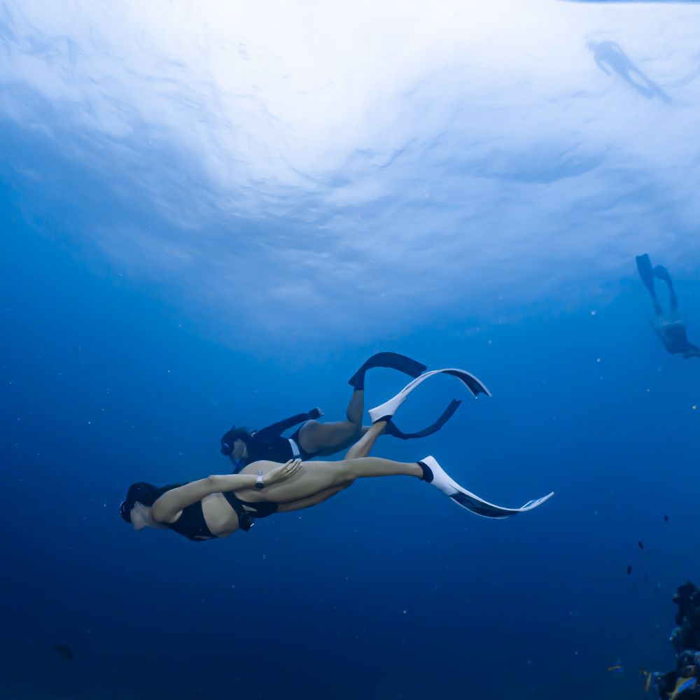 Freediving & Scuba Diving Liveaboard