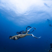 Freediving & Scuba Diving Liveaboard