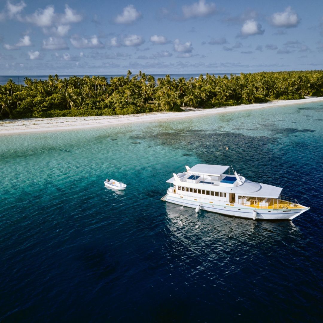 Freediving Liveaboard Maldives