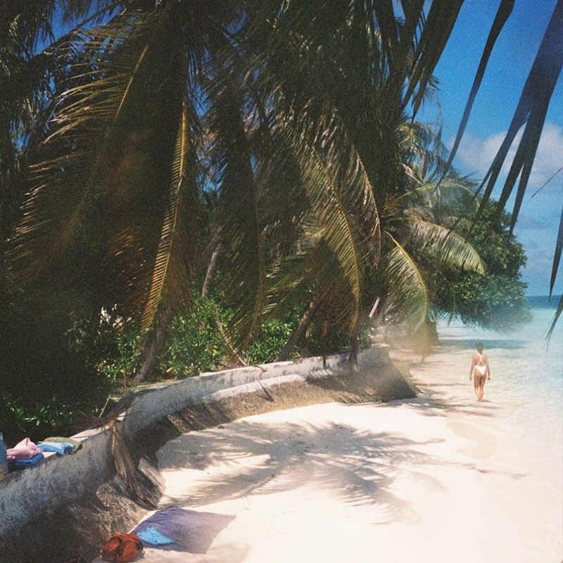 Maldives Apex Encounters Scuba Diving Trip