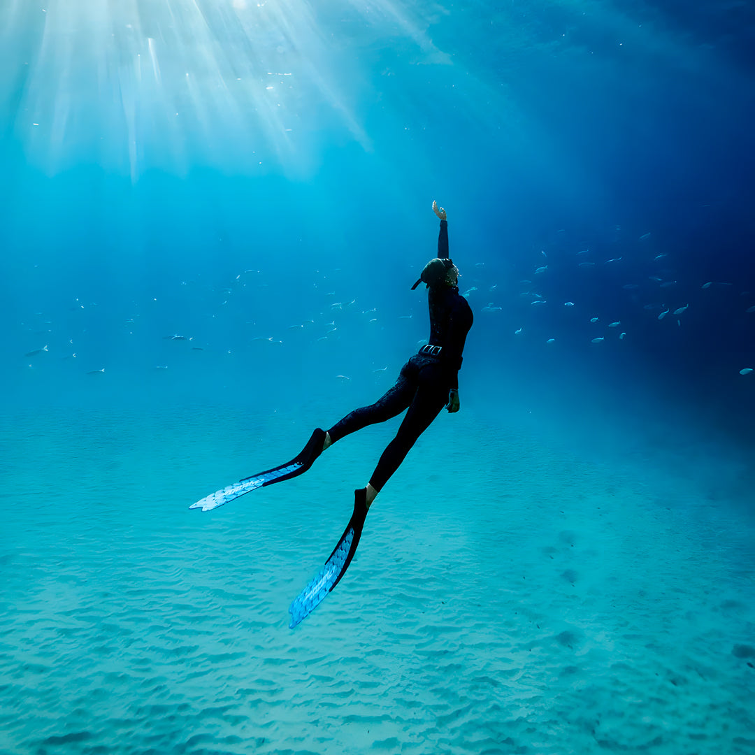 Maldives Freediving Liveaboard Eunoia Freediving