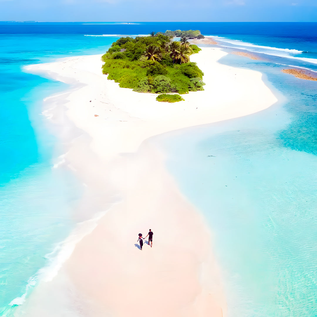 Maldives Freediving Liveaboard