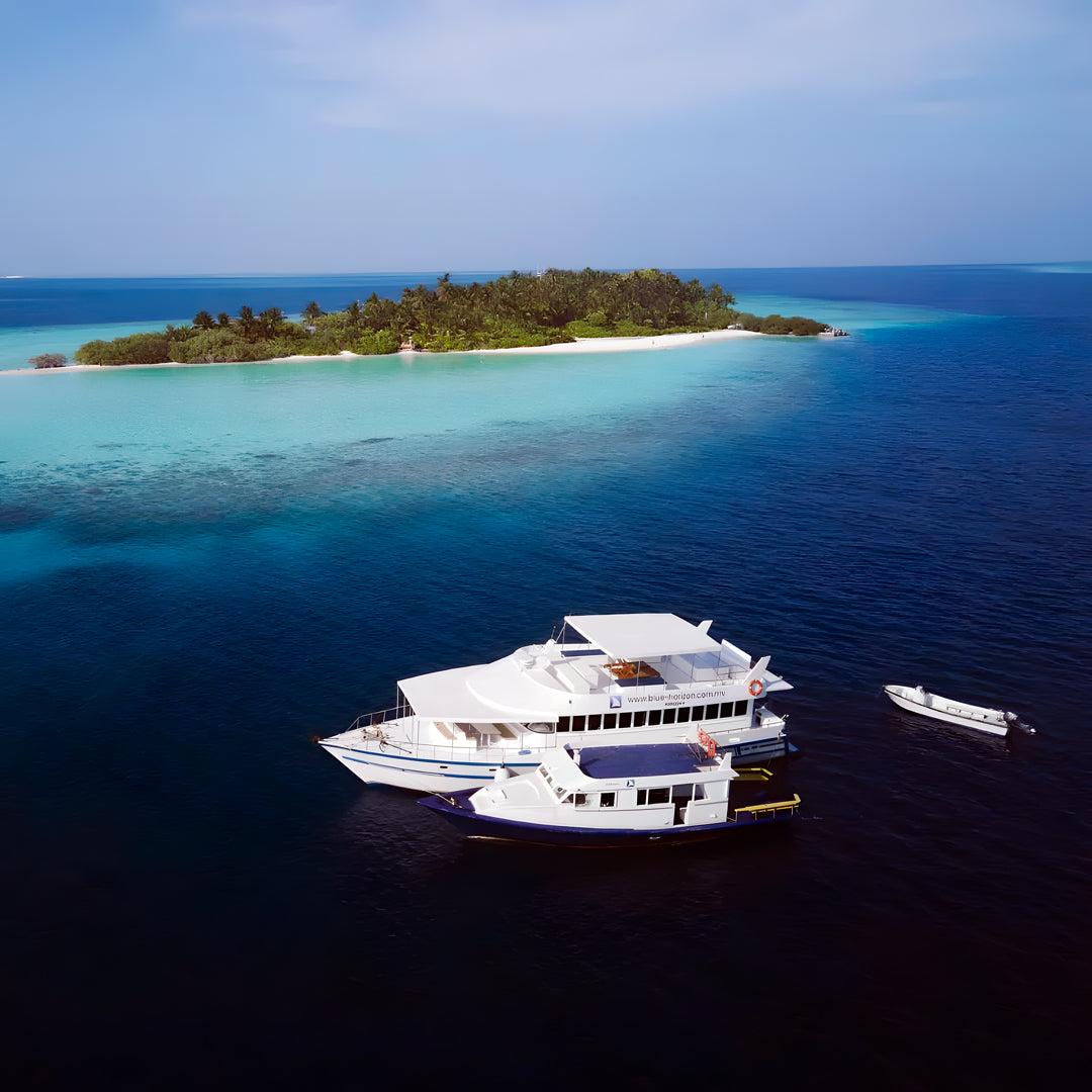 Maldives Freediving Liveaboard Eunoia Freediving