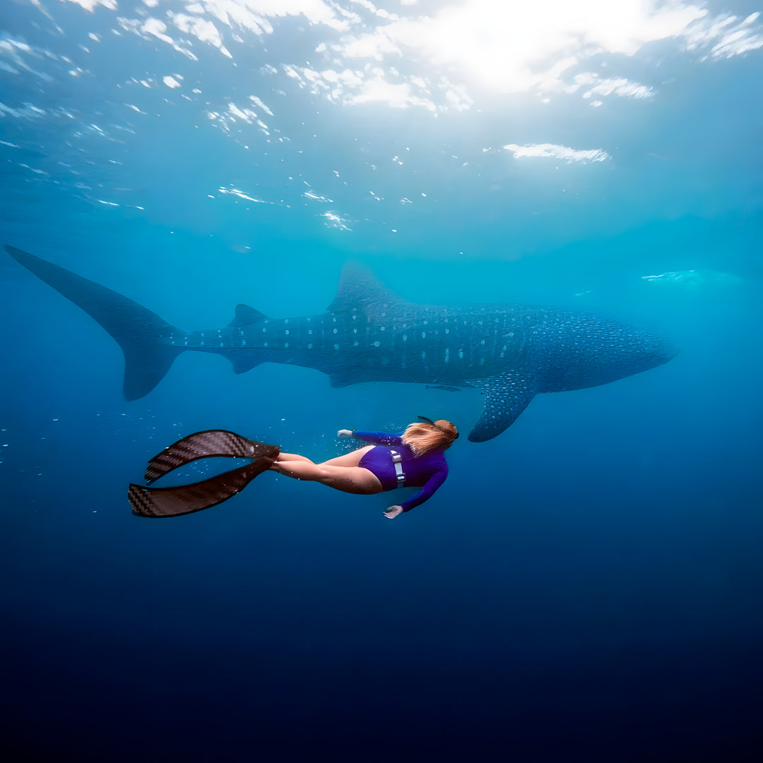 Maldives Freediving Liveaboard Eunoia Freediving