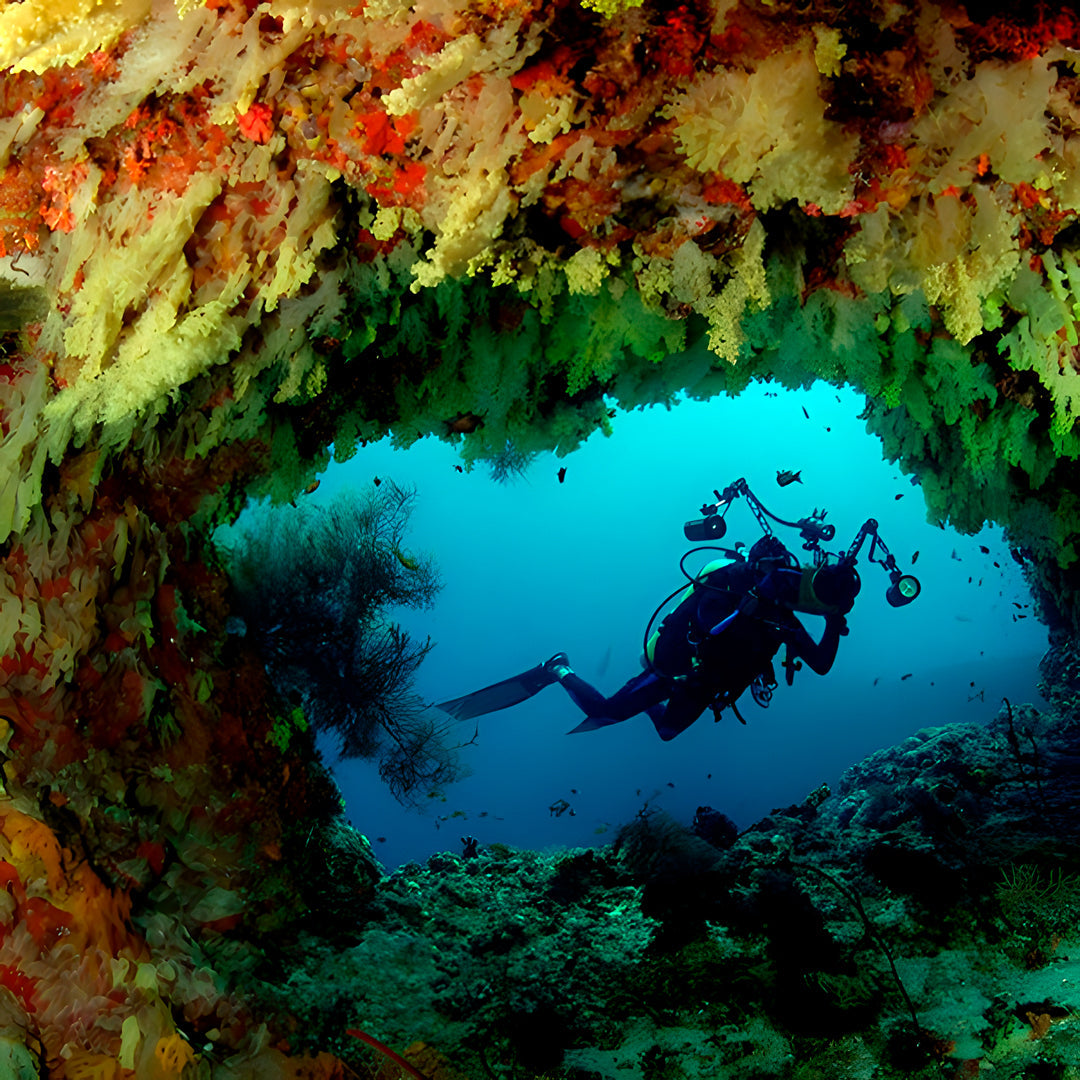 Maldives Northern Atolls Liveaboard JD Duff