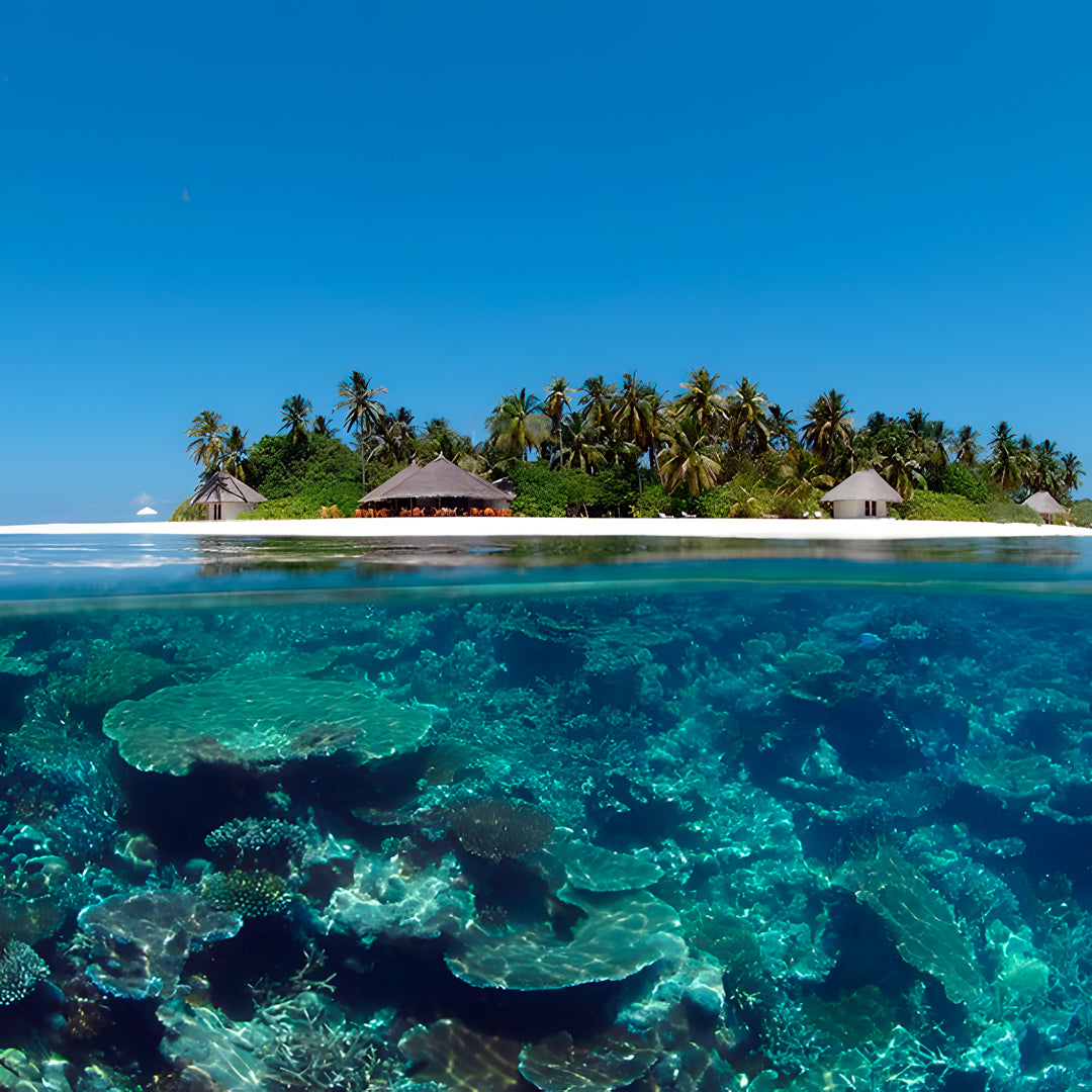Maldives Northern Atolls Liveaboard JD Duff