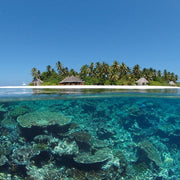 Maldives Northern Atolls Liveaboard