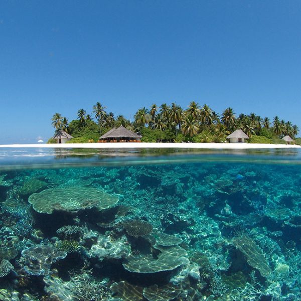 Maldives Northern Atolls Liveaboard