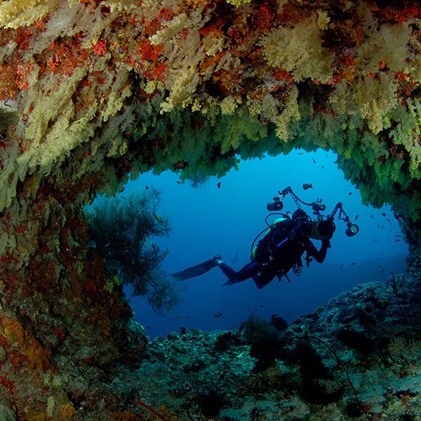 Maldives Northern Atolls Liveaboard