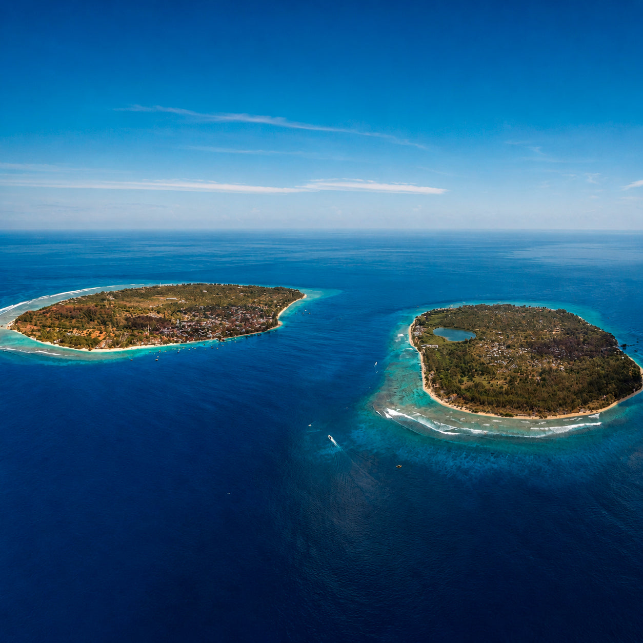 Gili Islands Guided Fun Dive