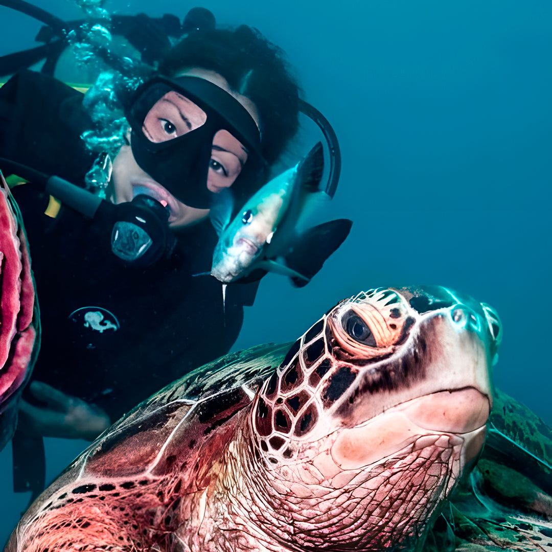 Gili Trawangan Open Water Diver Course