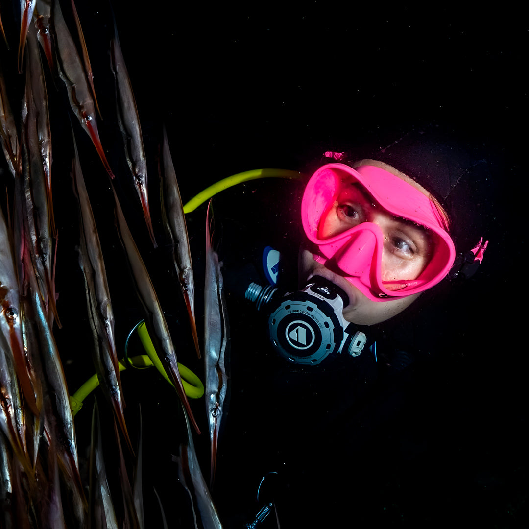Gili Islands Guided Fun Dive
