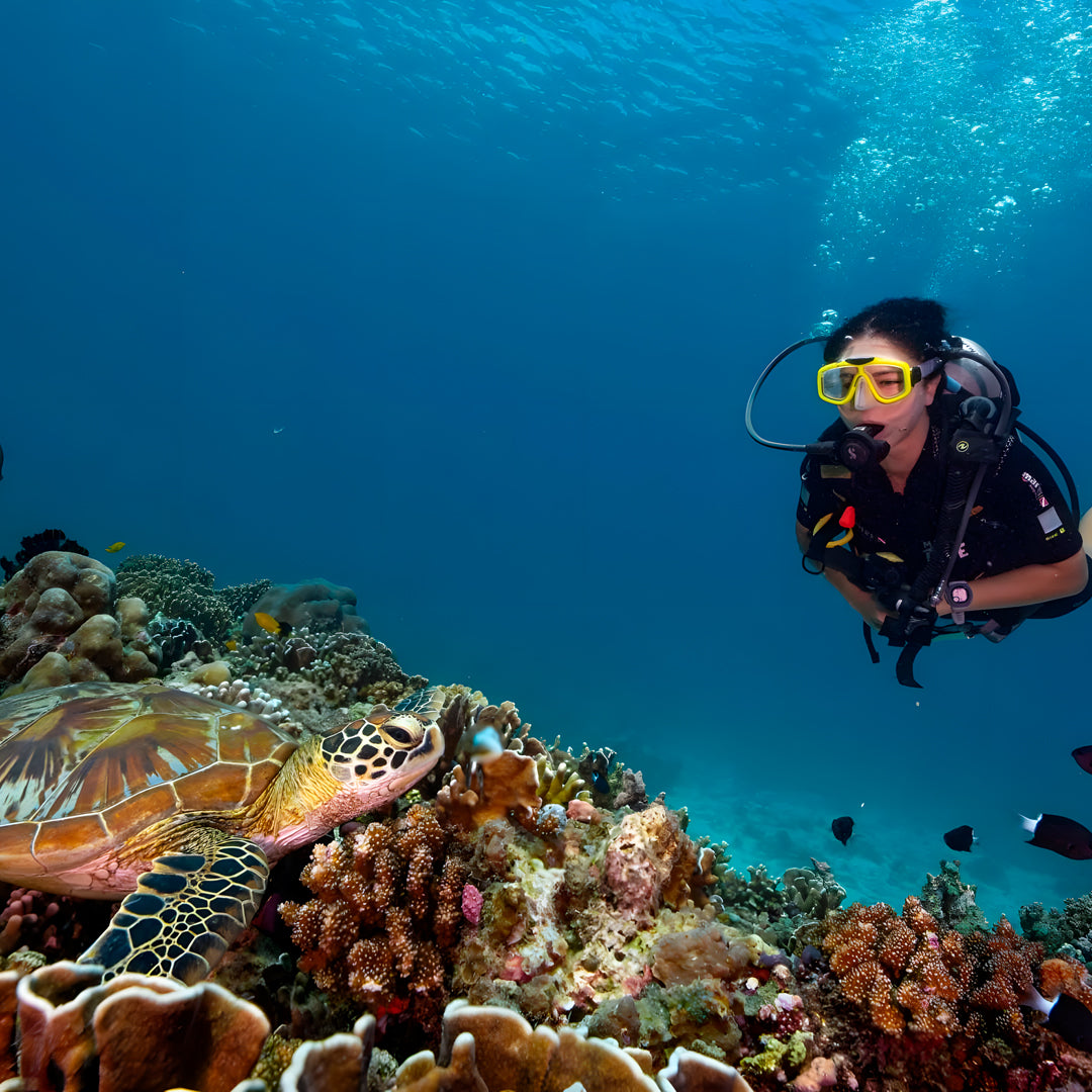 Gili Islands Guided Fun Dive