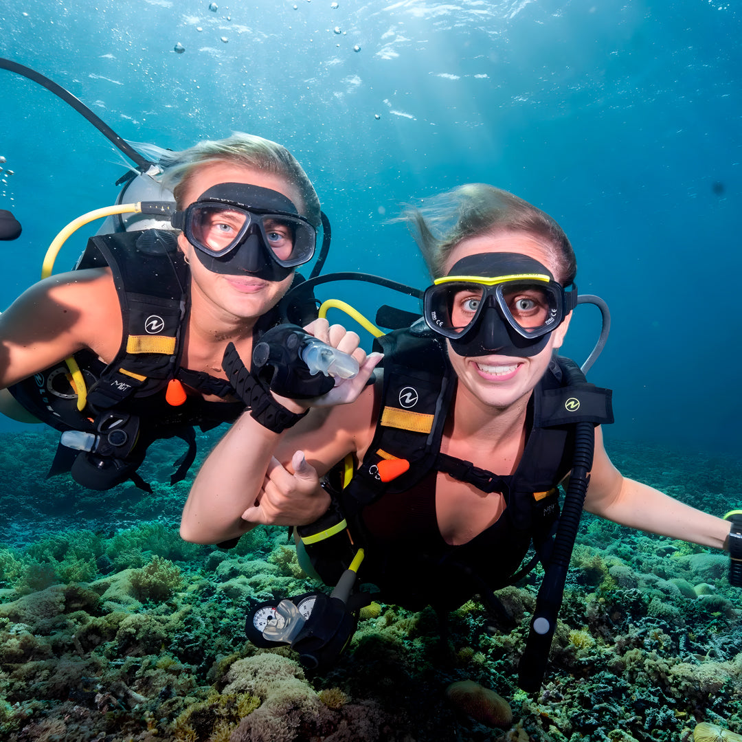 Gili Islands Guided Fun Dive