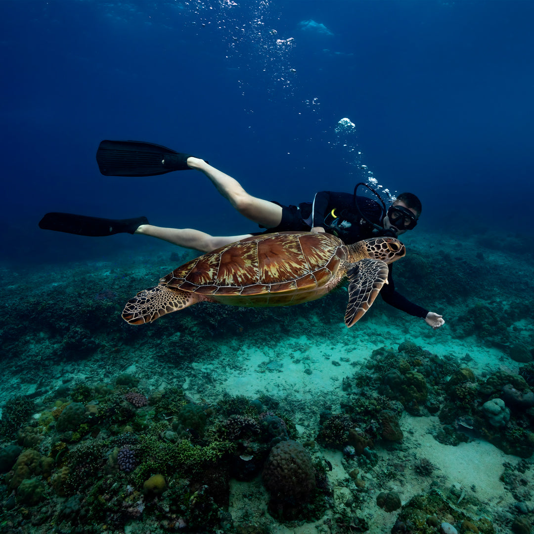 Gili Islands Guided Fun Dive