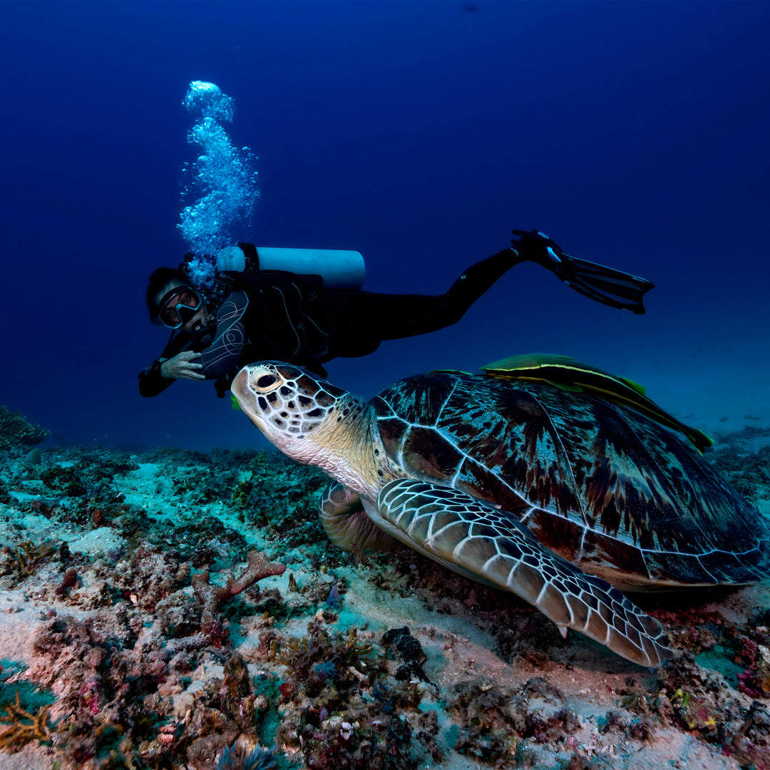 Gili Islands Guided Fun Dive