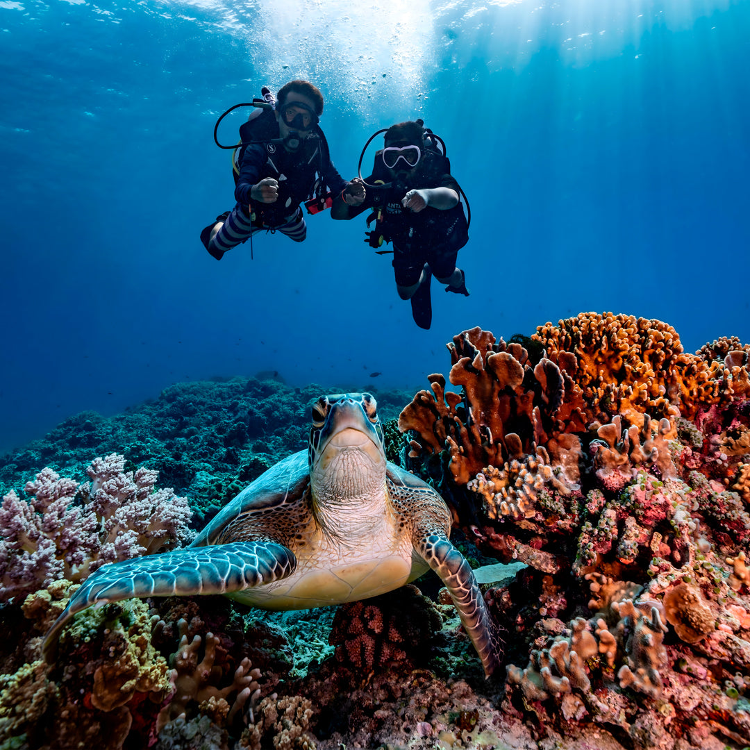 Gili Trawangan Open Water Diver Course