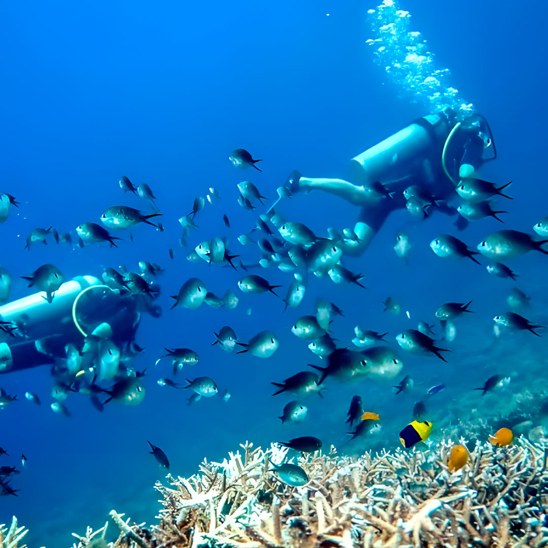 Gili Trawangan Open Water Diver Course