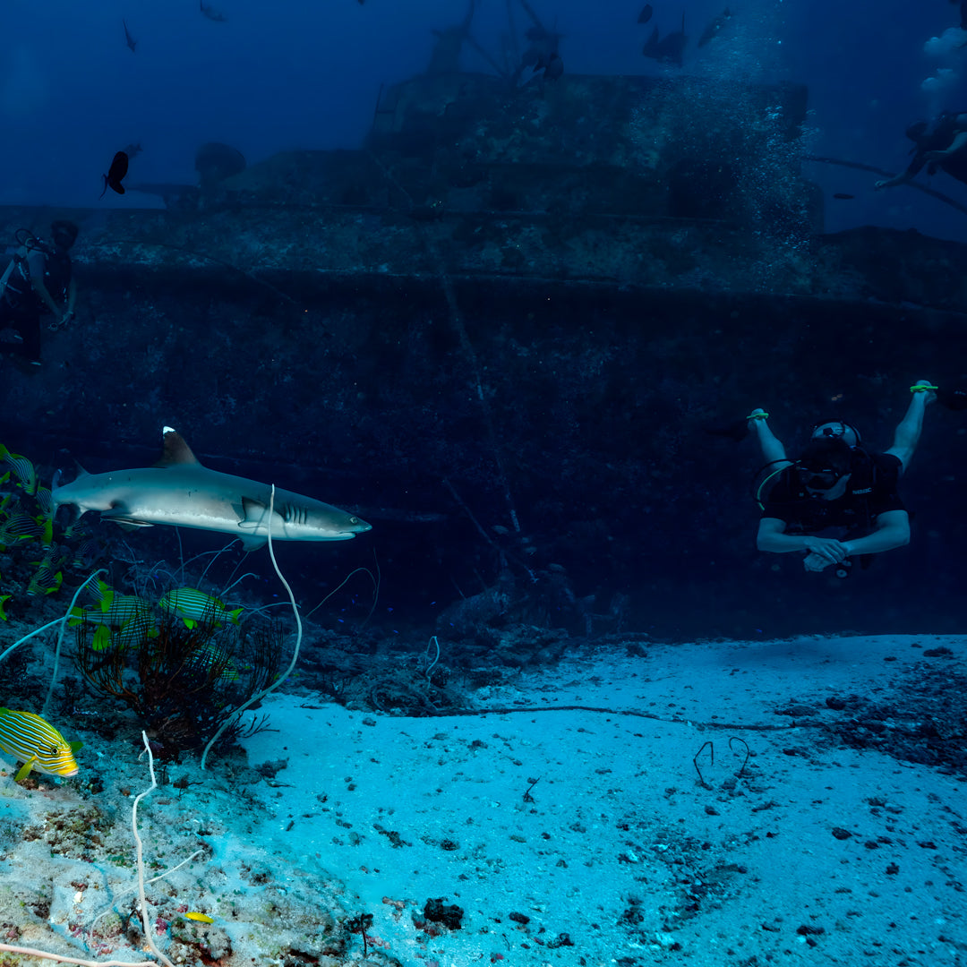 Gili Islands Guided Fun Dive