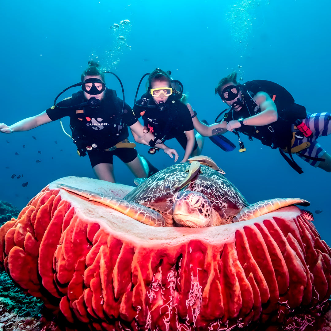 Gili Trawangan Discover Scuba Diving