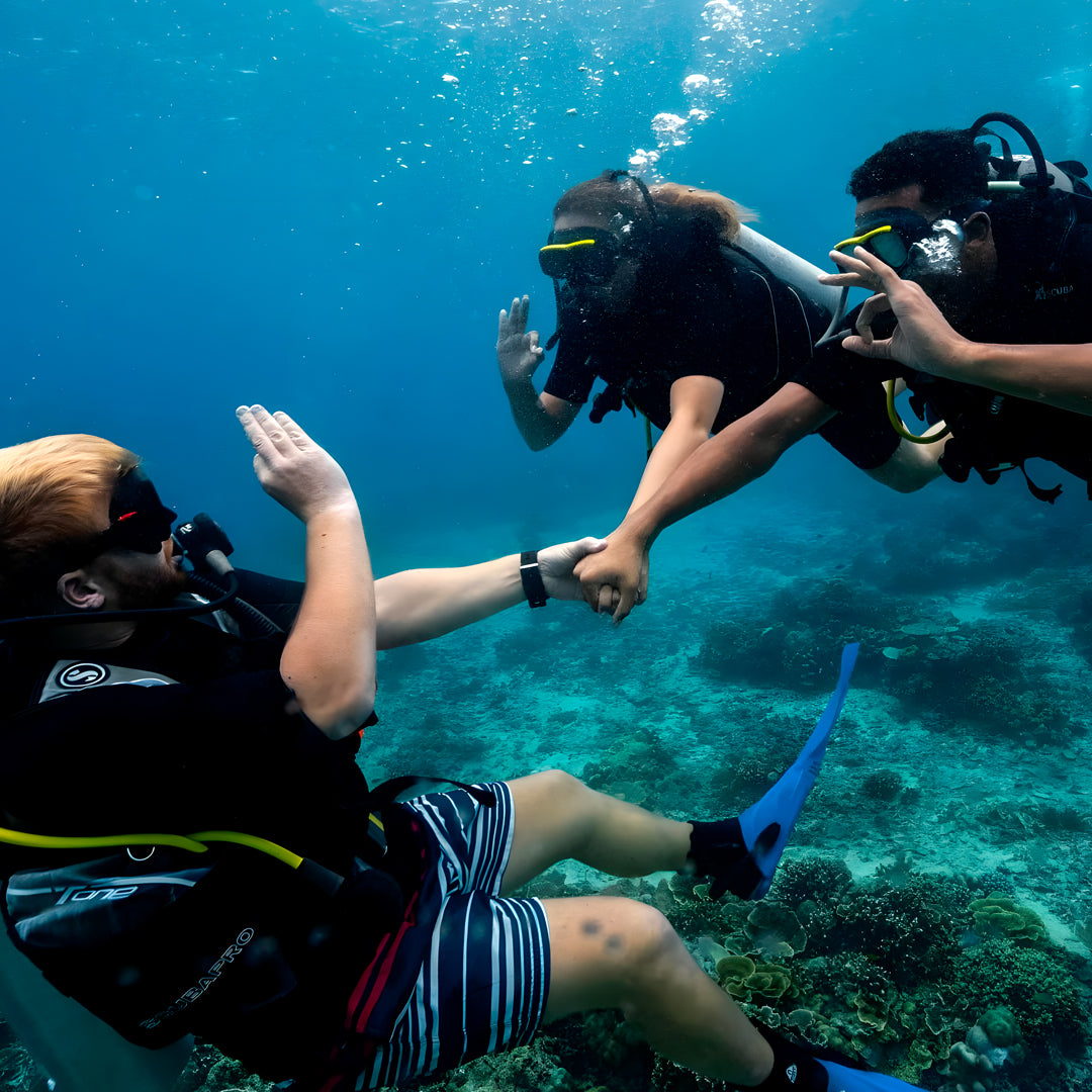 Gili Islands Guided Fun Dive