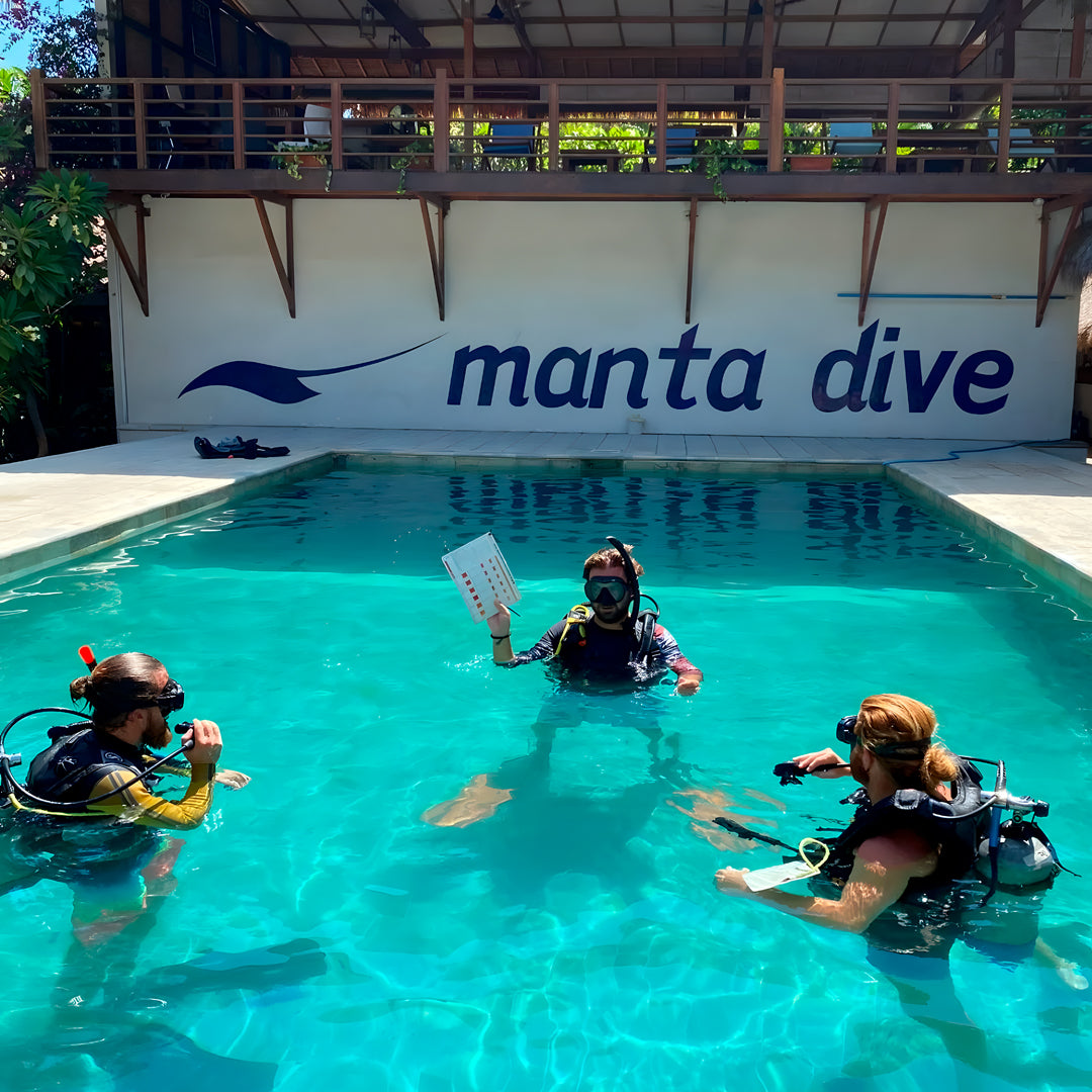 Gili Islands Guided Fun Dive