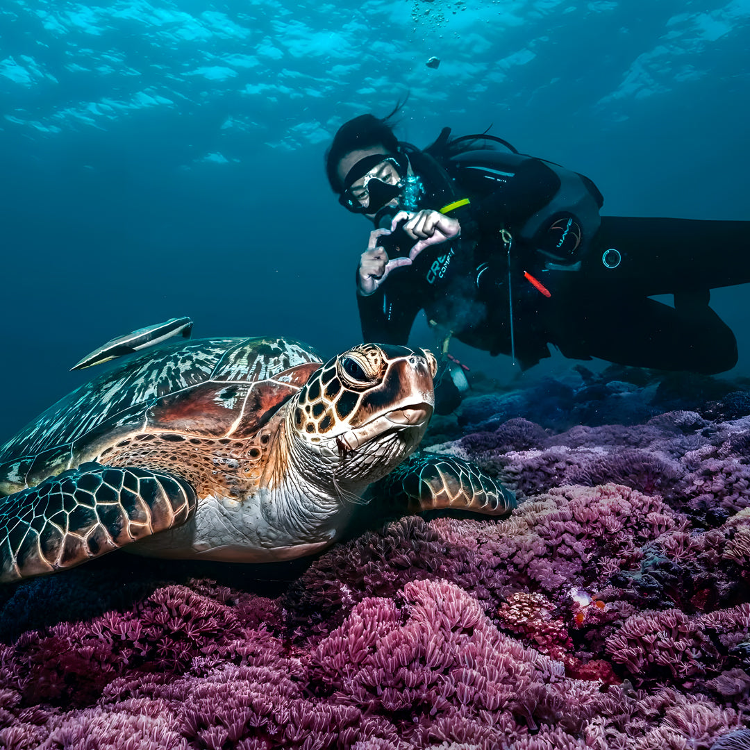 Gili Islands Guided Fun Dive