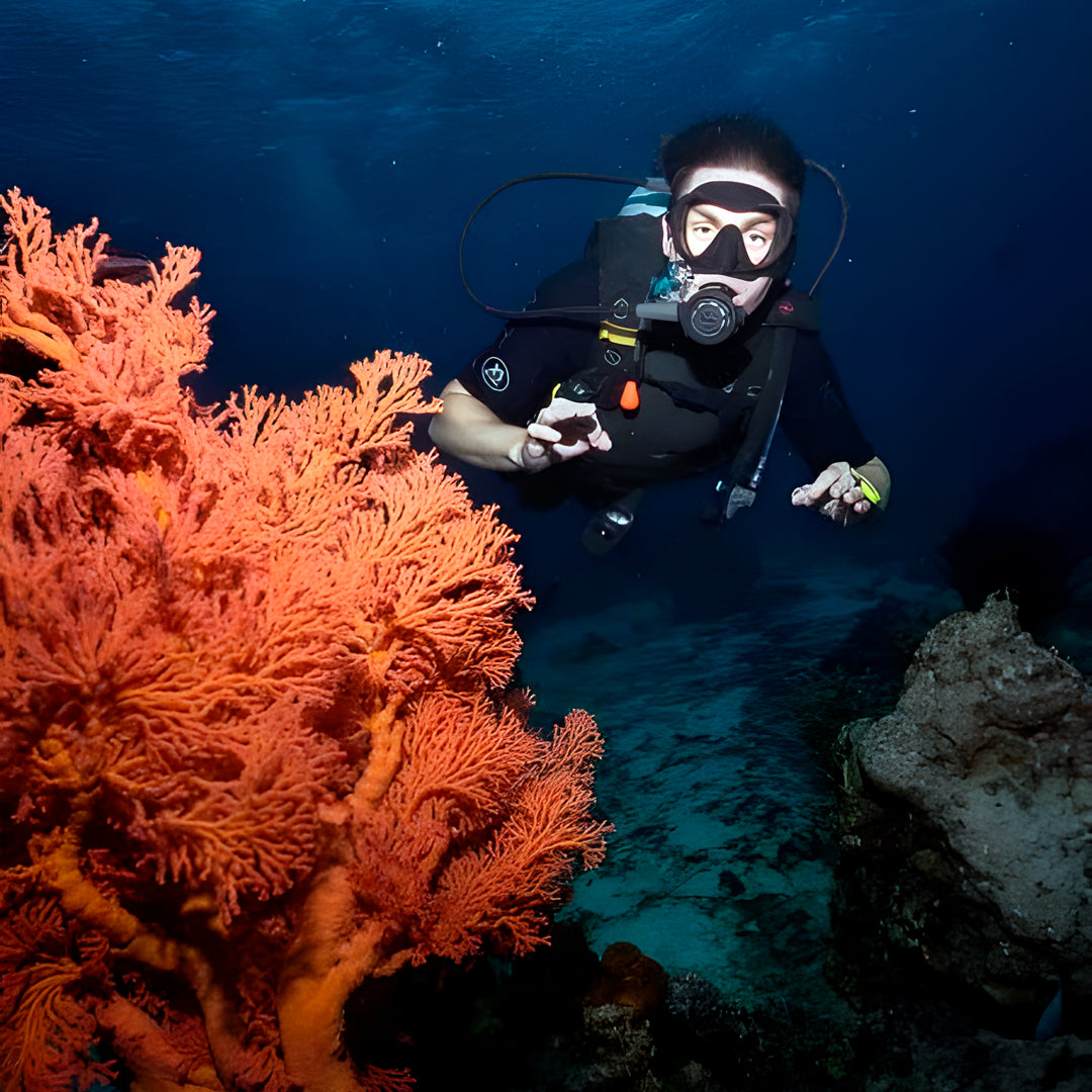 Gili Islands Guided Fun Dive