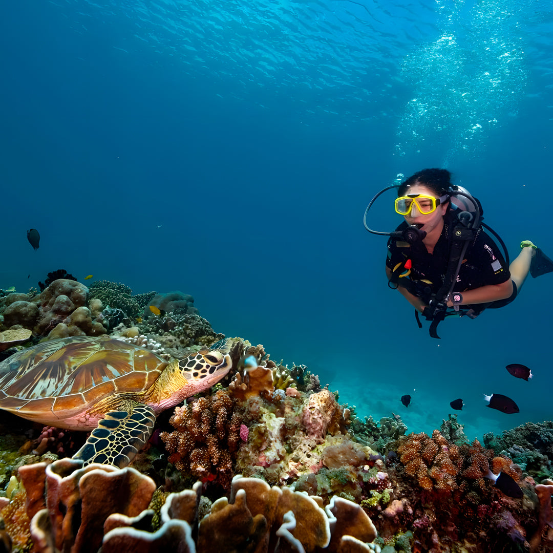 Gili Islands Guided Fun Dive