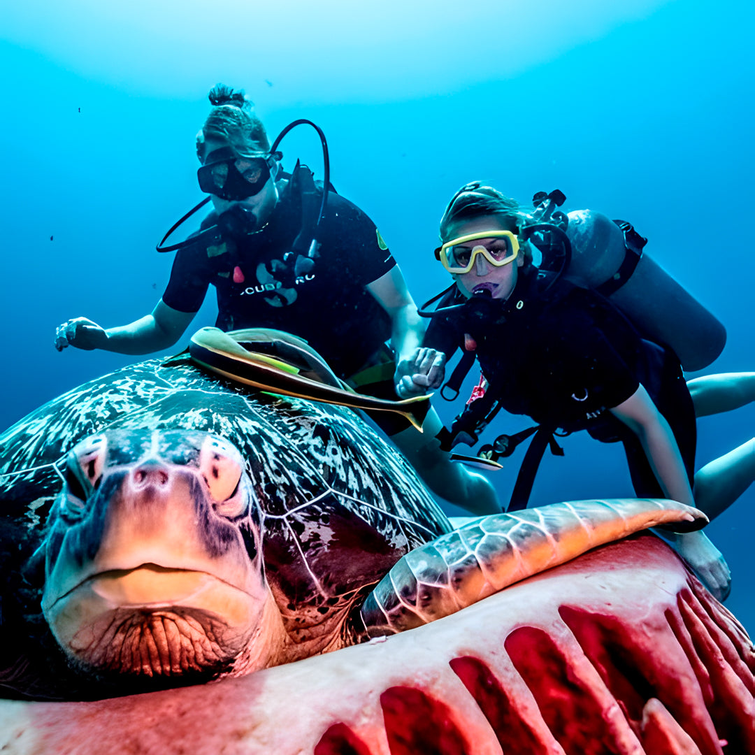 Gili Trawangan Discover Scuba Diving