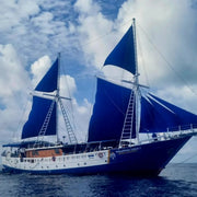 Tubbataha National Park Scuba Diving Liveaboard Master Liveaboards