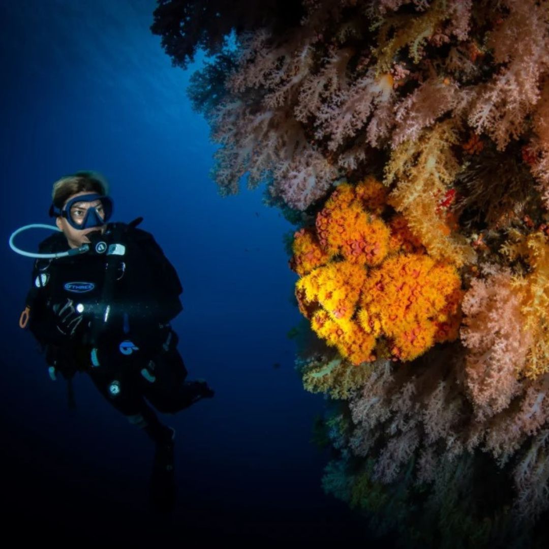 Tubbataha National Park Scuba Diving Liveaboard Master Liveaboards