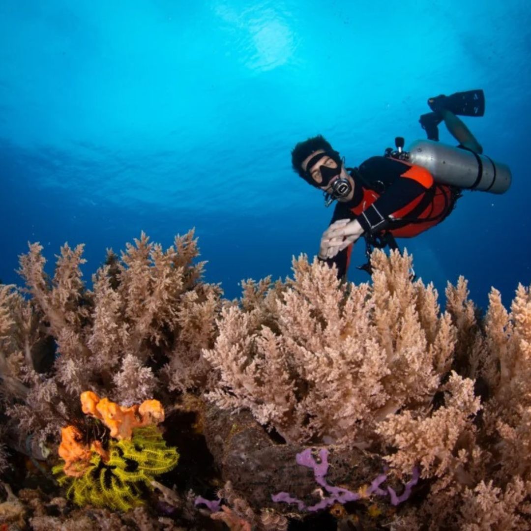Malapascua Scuba Diving Liveaboard
