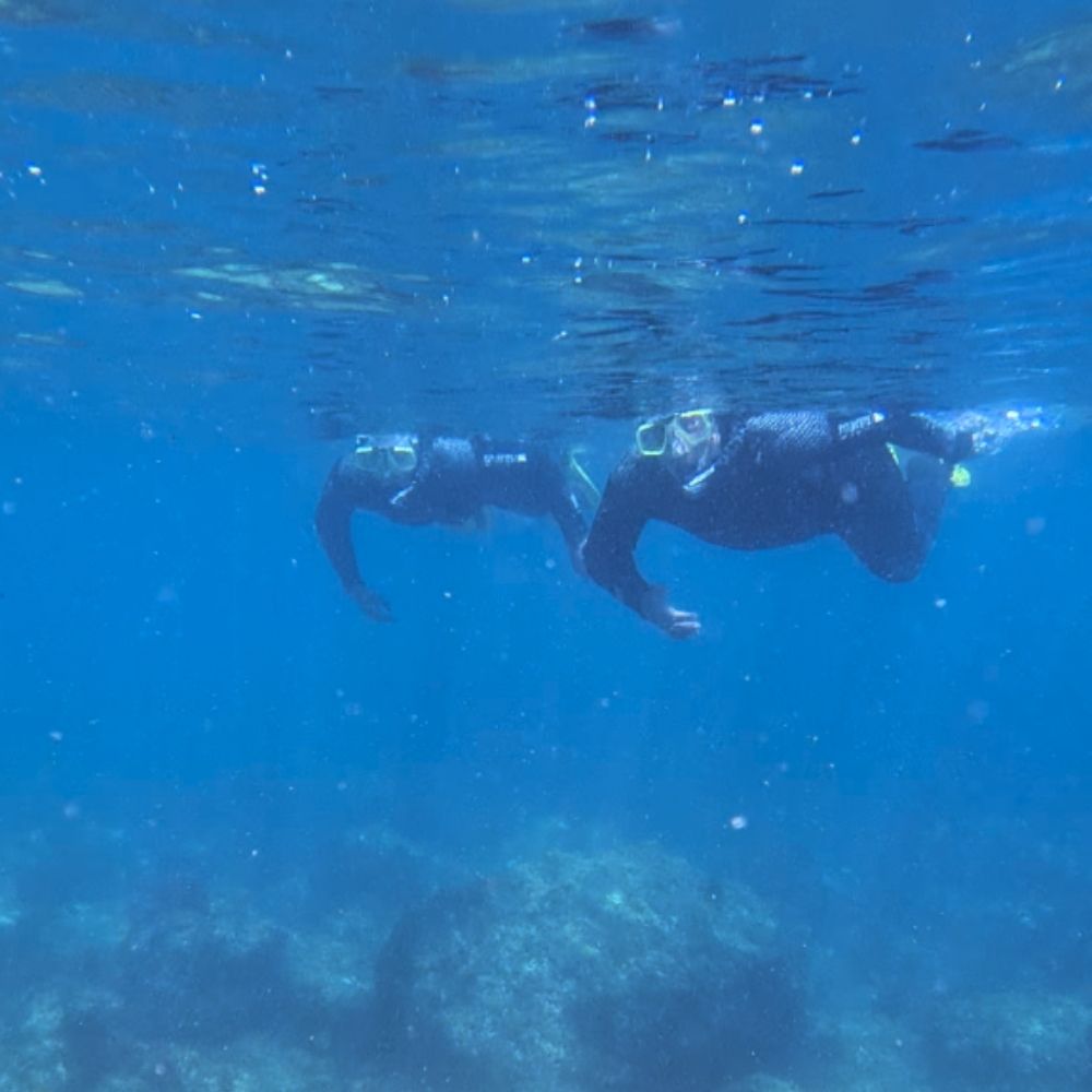 Marine Park Guided Snorkeling Experience