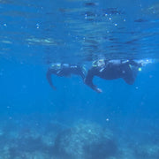 Marine Park Guided Snorkeling Experience