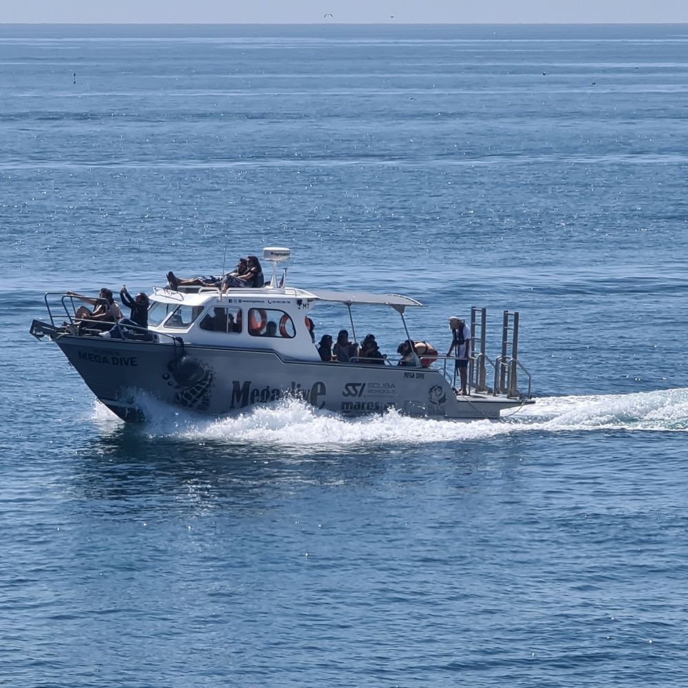Sesimbra Fun Dive