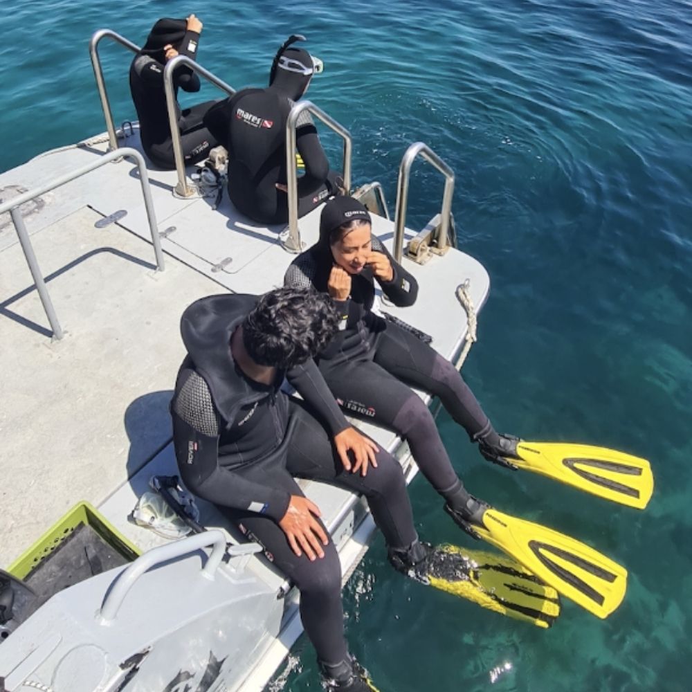 Marine Park Guided Snorkeling Experience